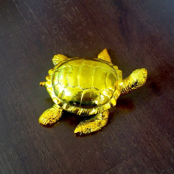 Gold colored Turtle Small Shiny - Picture 6 of 8